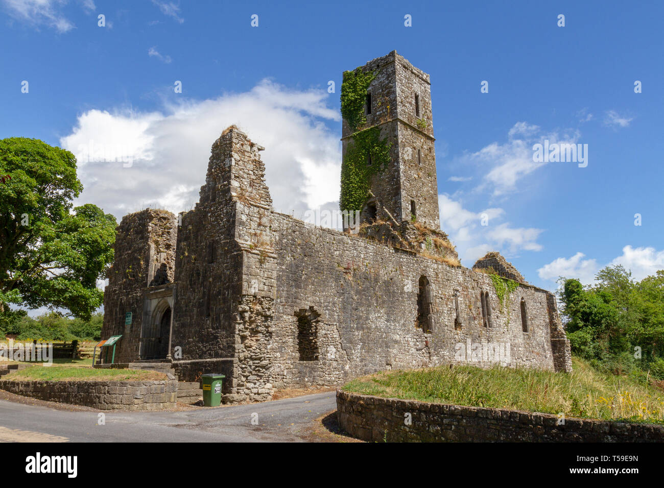 Moor Abbey, ein Franziskaner Kloster im 13. Jahrhundert in der Grafschaft Tipperary, Irland gegründet wurde. Stockfoto