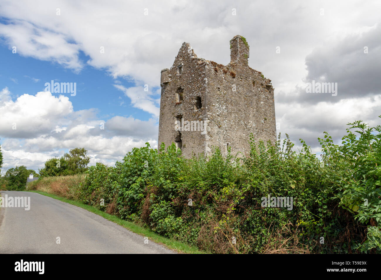 Typische Straße Seite verlassene Ruine Burg in Co Tipperary, Republik von Irland Stockfoto