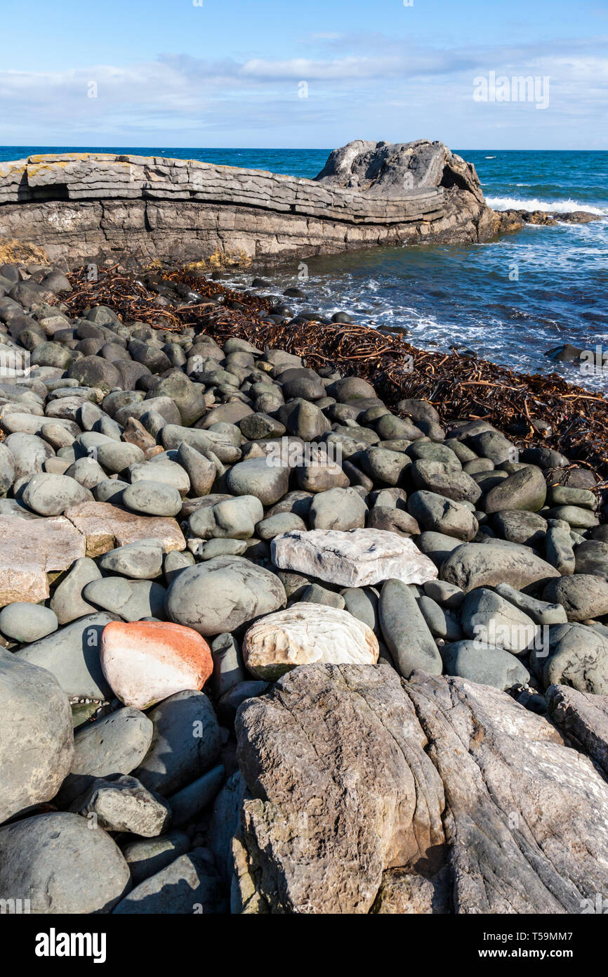 Graymare Rock eine gefaltete Kalkstein Felsbrocken auf Embleton Bay Stockfoto
