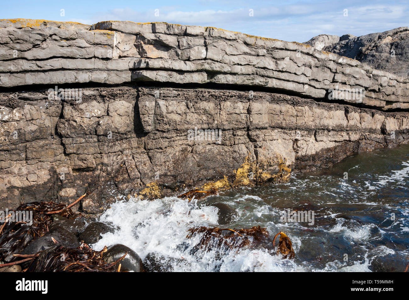 Graymare Rock eine gefaltete Kalkstein Felsbrocken auf Embleton Bay Stockfoto
