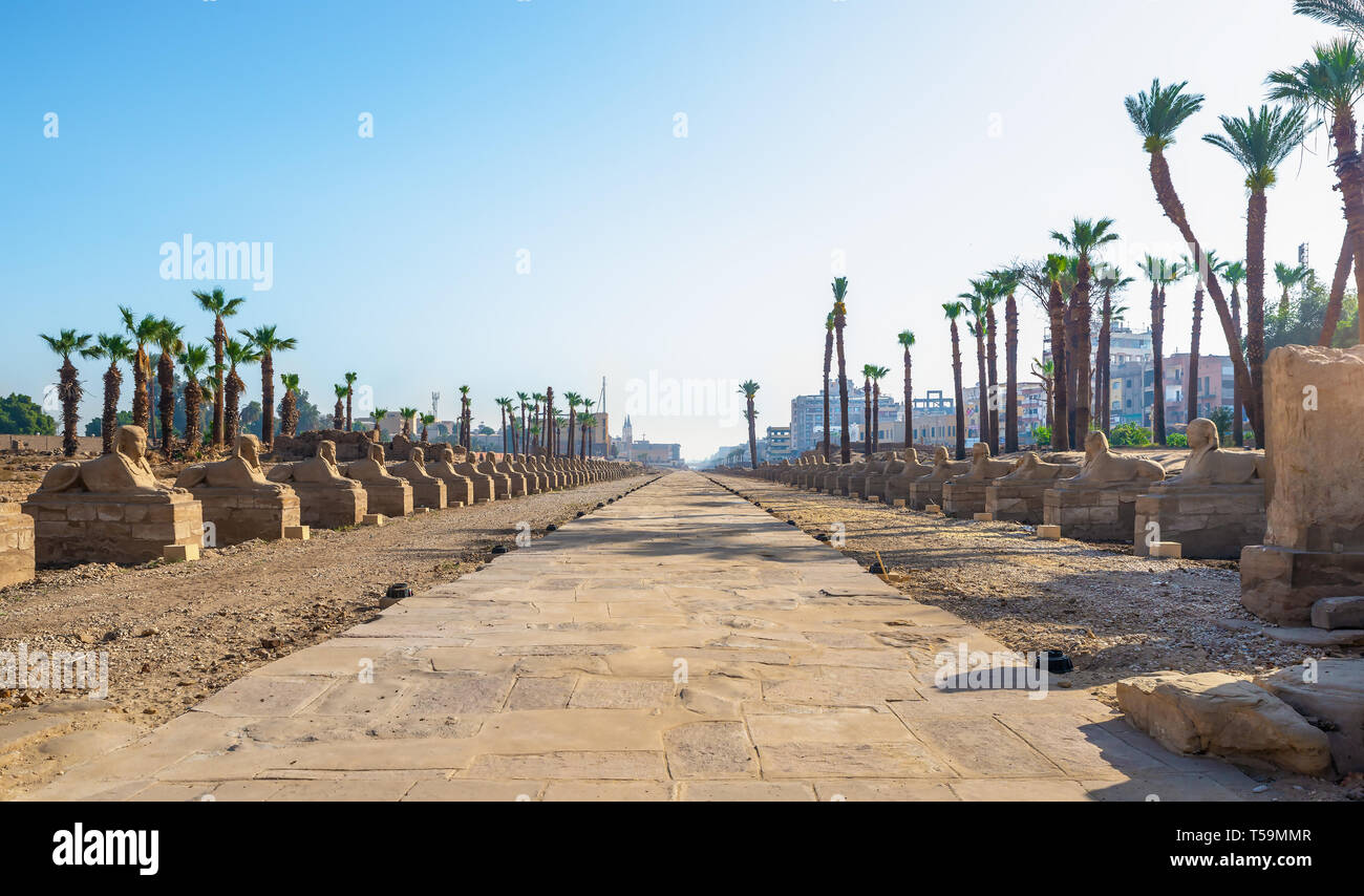 Luxor, Ägypten, Sphinx Avenue, mitten im Herzen der alten Stadt, die ausgegraben worden ist und jetzt wiederhergestellt wird. Stockfoto
