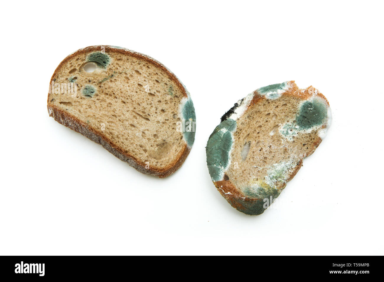 Das Bild eines verschimmeltes Brot. Morsch und ungenießbar. Auf weissem Hintergrund. Stockfoto