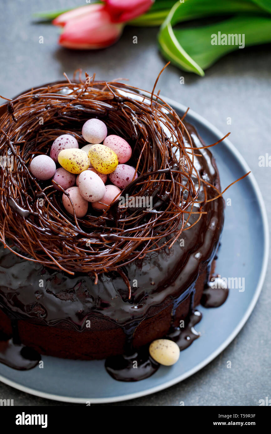 Ostern Schokolade Kuchen Stockfoto