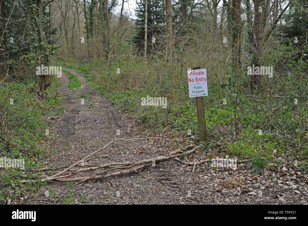 Ein logging Track in Shropshire Holz in den Frühling mit einem eigenen Zeichen Stockfoto