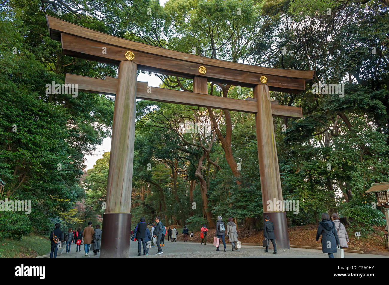 Meiji Jingu Tokyo Stockfotos und -bilder Kaufen - Alamy
