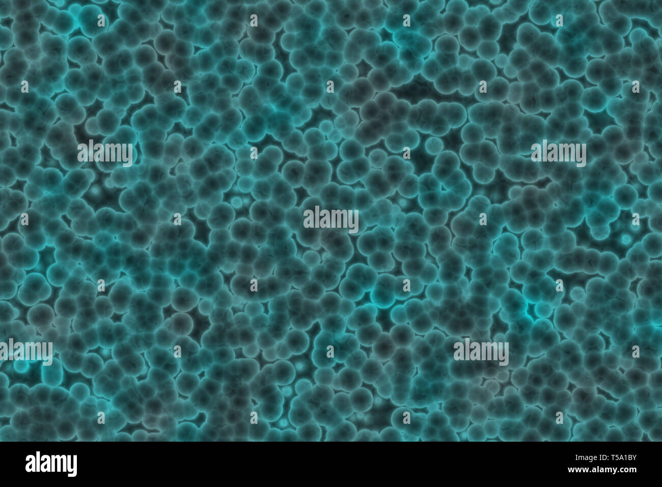 Form der bakteriellen Zelle: Kokken, Bazillen, spirillen Bakterien Stockfoto