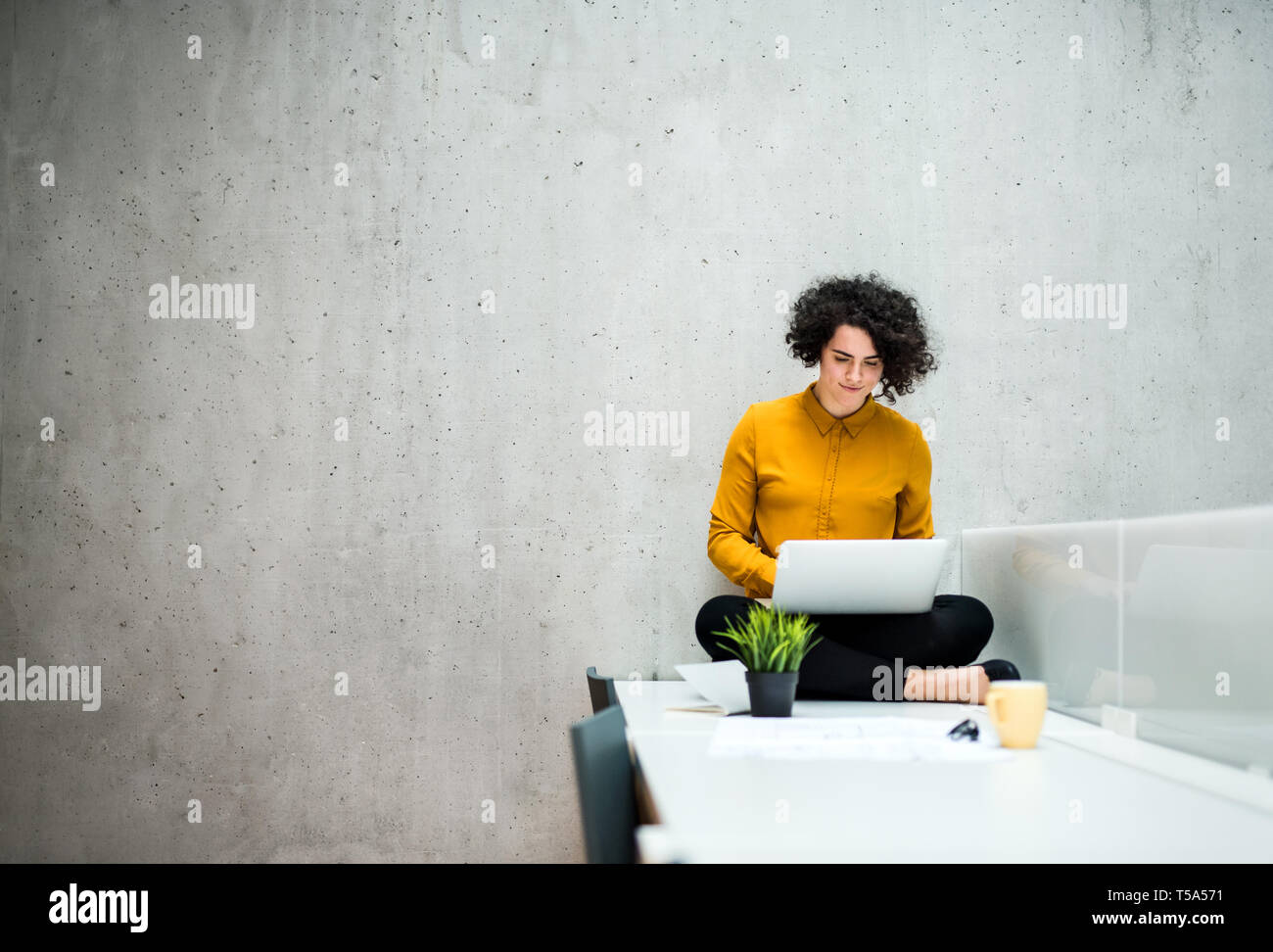 Das Porträt einer jungen Studentin oder Geschäftsfrau, sitzen am Schreibtisch im Zimmer in einer Bibliothek oder einem Büro, mit Laptop. Stockfoto