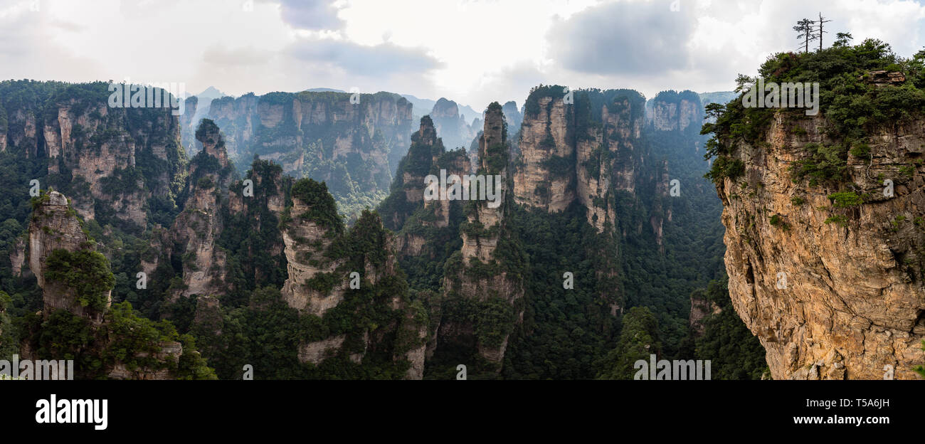 Panoramablick vom Mi Hun Plattform in Yuanjiajie Bereich im Landschaftspark Wulingyuan gelegen Nationalpark Zhangjiajie, Hunan, China. Landschaftspark Wulingyuan gelegen Nationalpark wurde die in Stockfoto