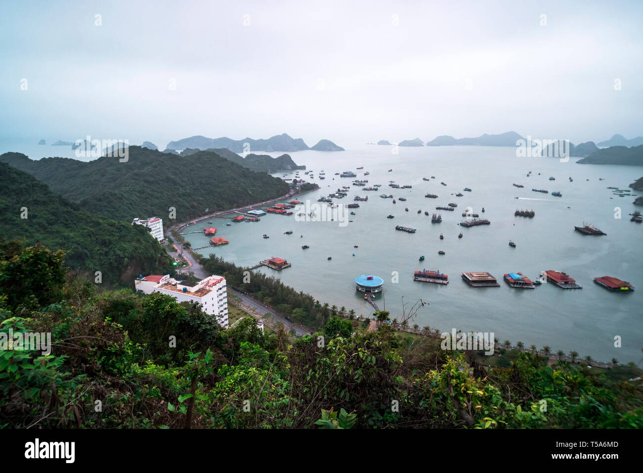Cat Ba Insel von oben. Lan Ha Bucht im Nebel. Toning. Hai Phong, Vietnam Stockfoto