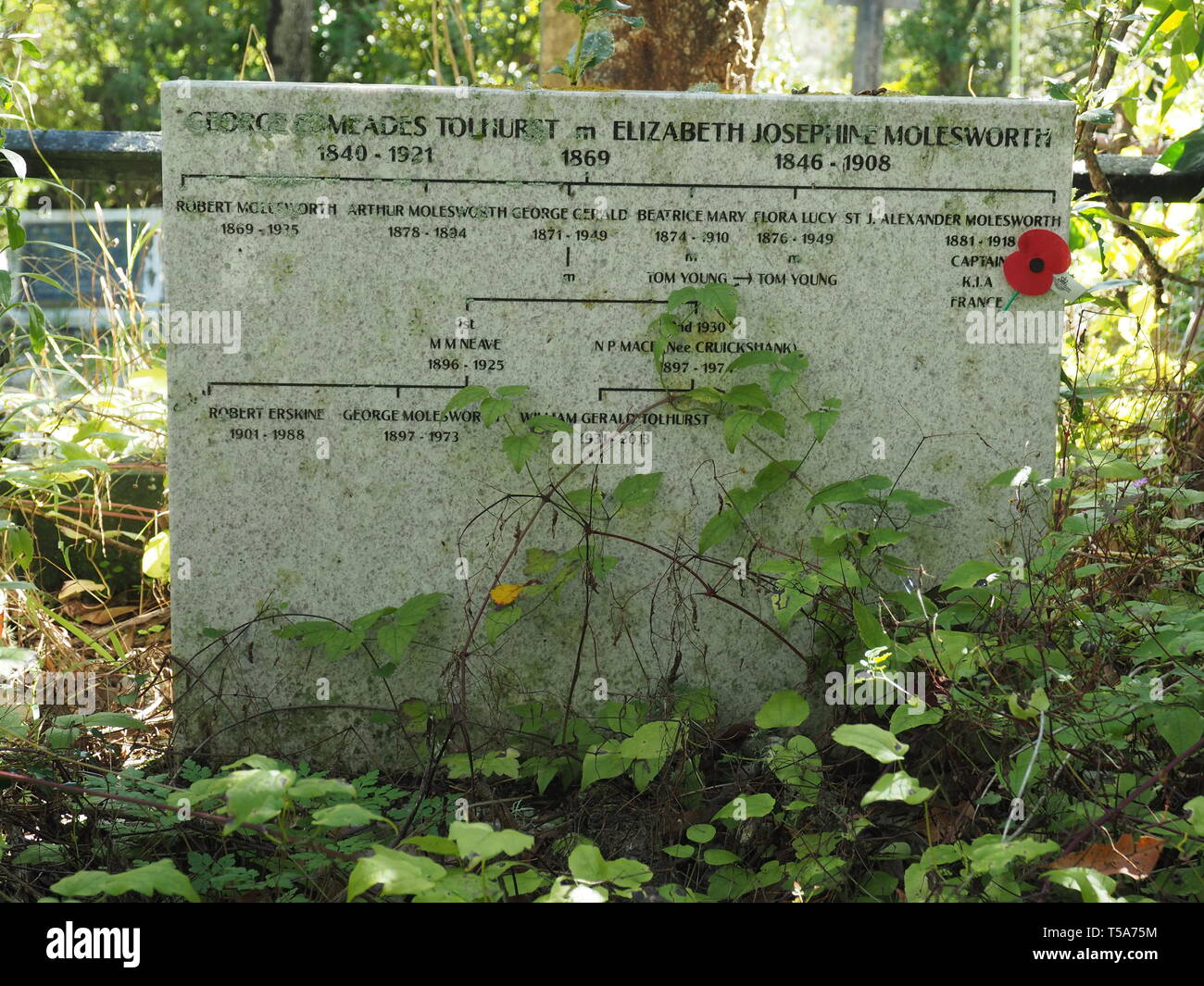 Ungewöhnliche Grabstein mit einem Stammbaum Diagramm, in den großen und alten Friedhof Karori, Wellington, NZ Stockfoto