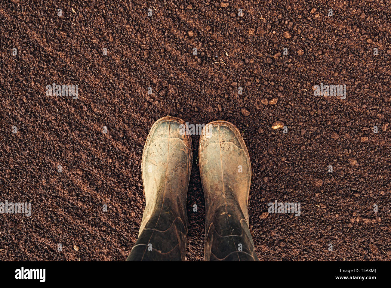 Blick von oben auf die Landwirt Gummistiefel stehen auf gepflügten Ackerfläche mit Kopie Raum Stockfoto