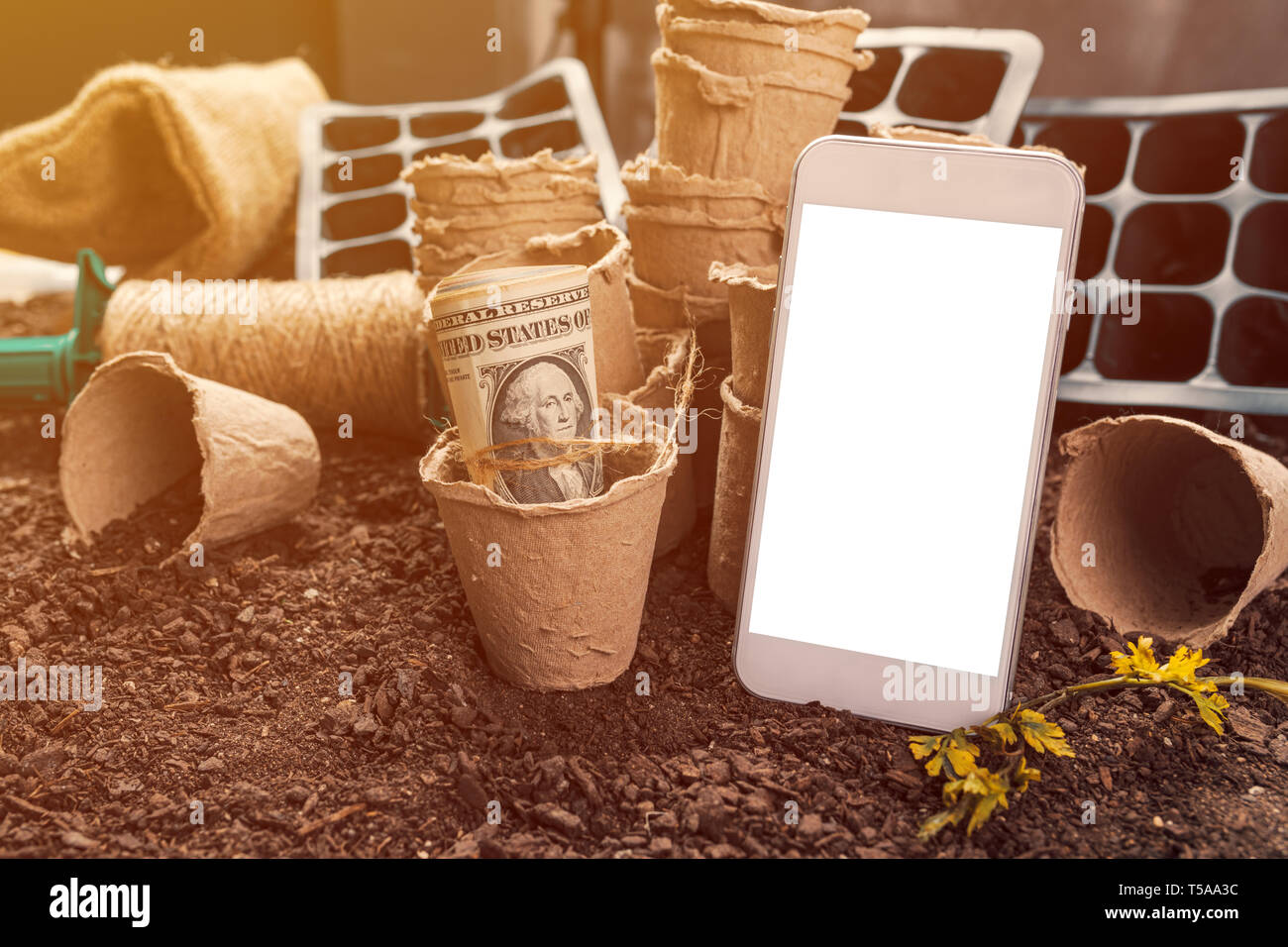 Smartphone mock up für den ökologischen Landbau Konzept, modernes Mobiltelefon Gerät mit Rollen von US Dollar Banknoten in biologisch abbaubaren Karton Topf Boden contai Stockfoto