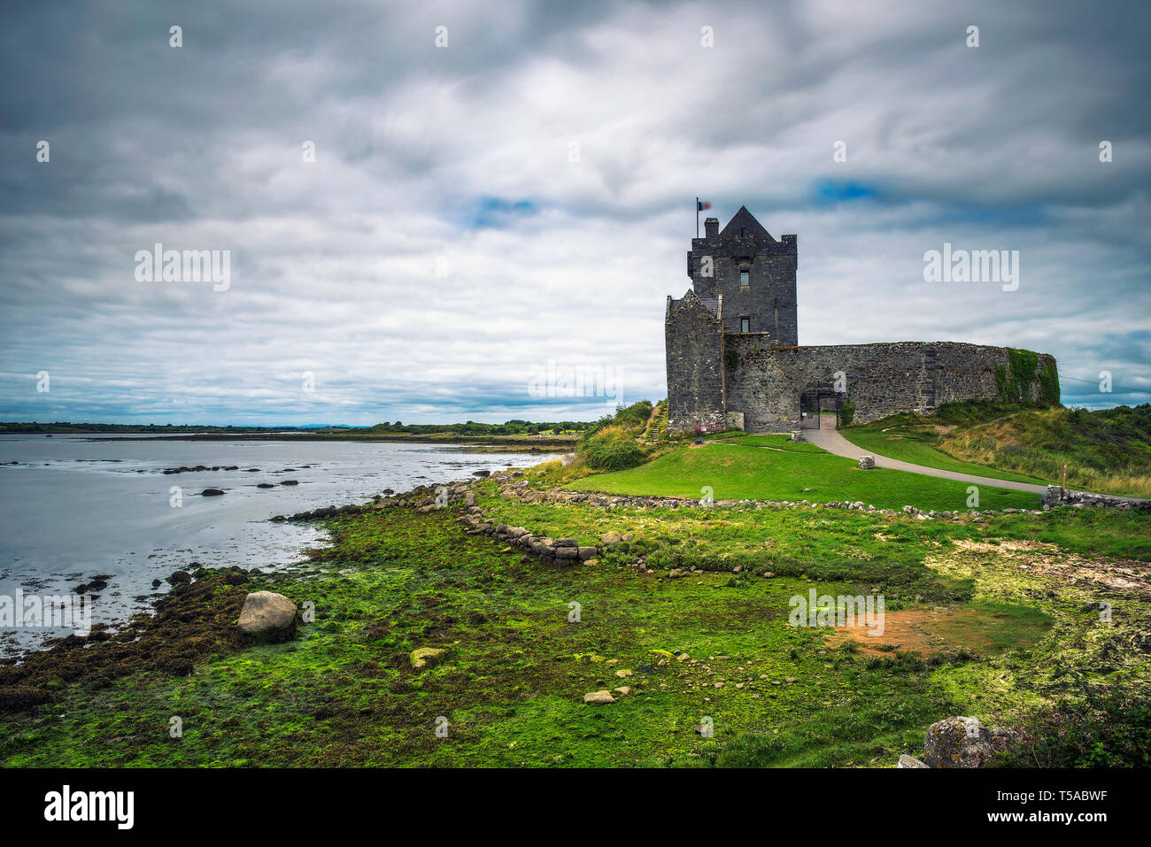 Dunguaire Castle Castle in der Grafschaft Galway in der Nähe von Kinvarra, Irland Stockfoto