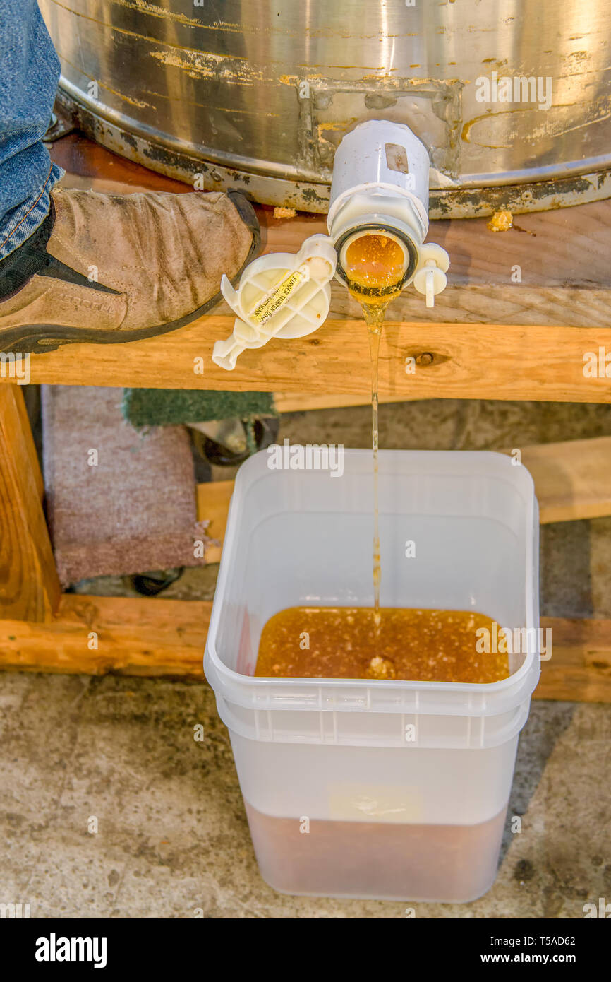 Honig Extraktoren haben eine Honig Tor in der Nähe der Unterseite, die verwendet wird, um den Abzieher des rohem Honig zu leeren (Propolis) in eine lebensmittelechte Eimer. Der Mensch ist s Stockfoto
