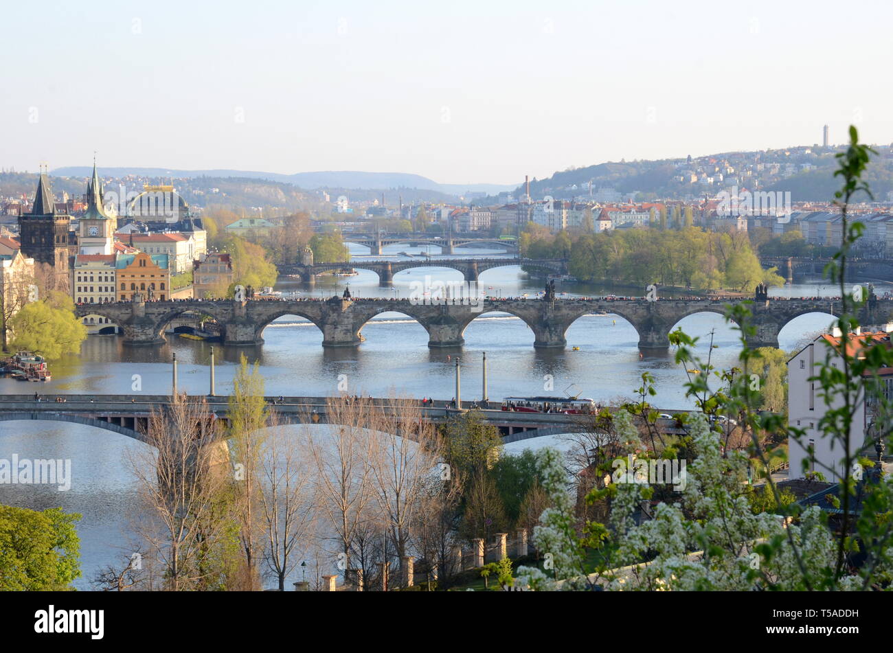 Brucken Von Prag Im Fruhling Stockfotografie Alamy