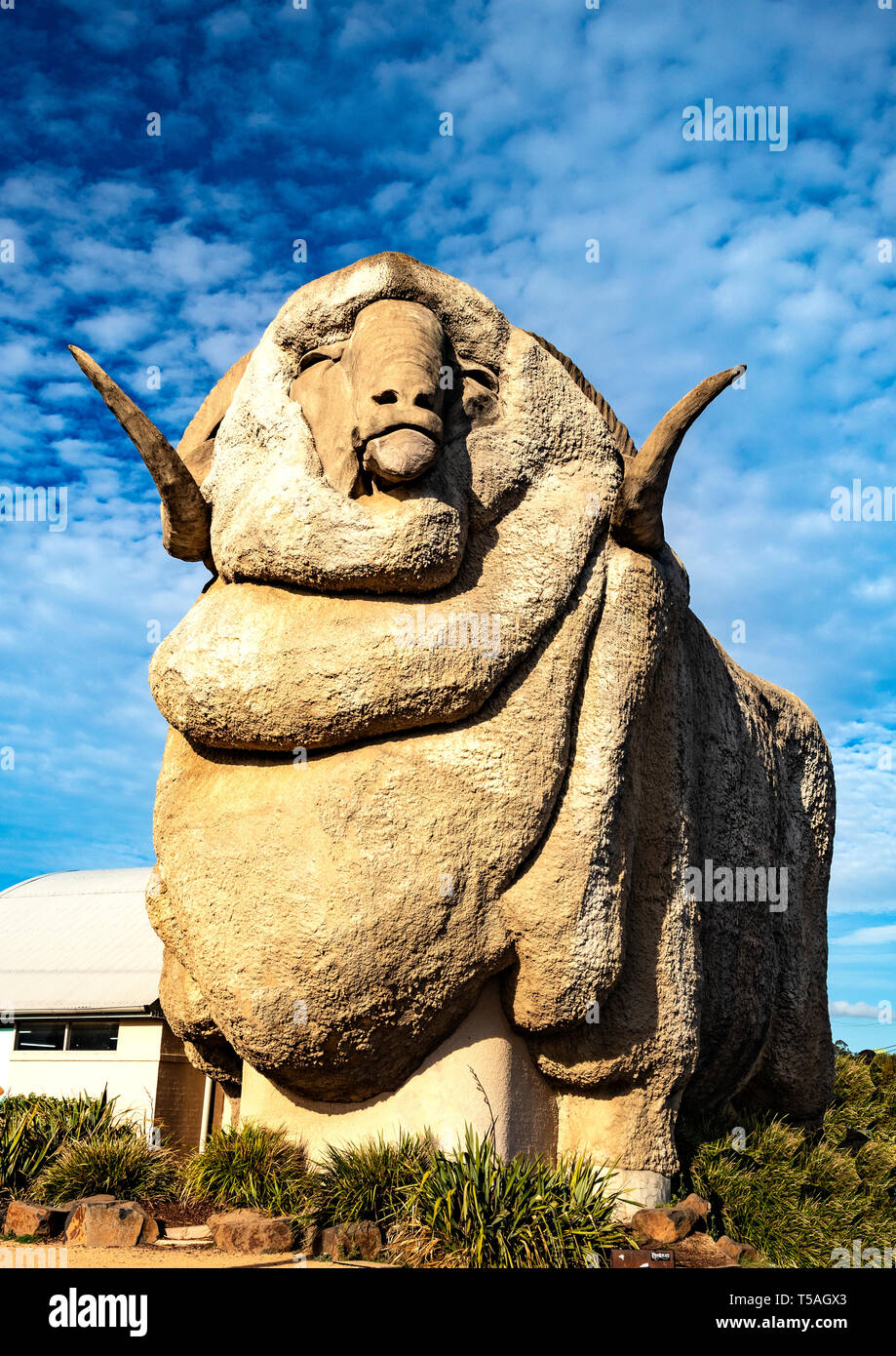 Die Statue von Big Merino ist eine beliebte Touristenattraktion in Goulburn in New South Wales Stockfoto