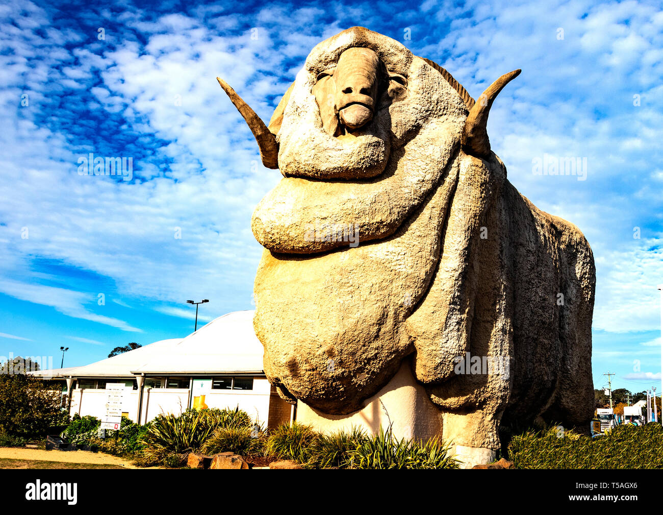 Große Merino Statue eine Top-Touristenattraktion in Goulburn, New South Wales, Australien Stockfoto