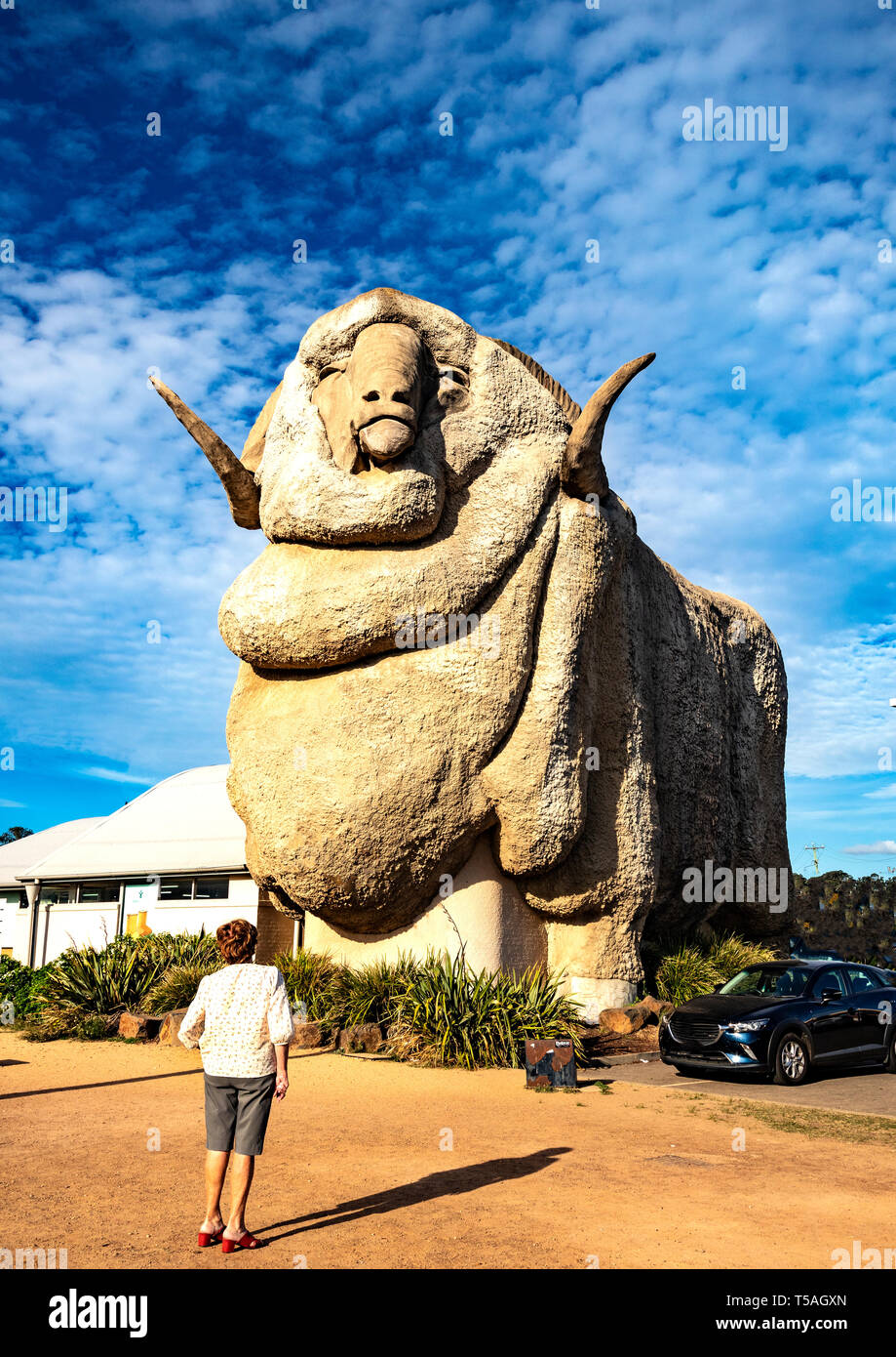 Frau schaut auf Big Merino berühmte Touristenattraktion in der Nähe von Goulburn in New South Wales Stockfoto