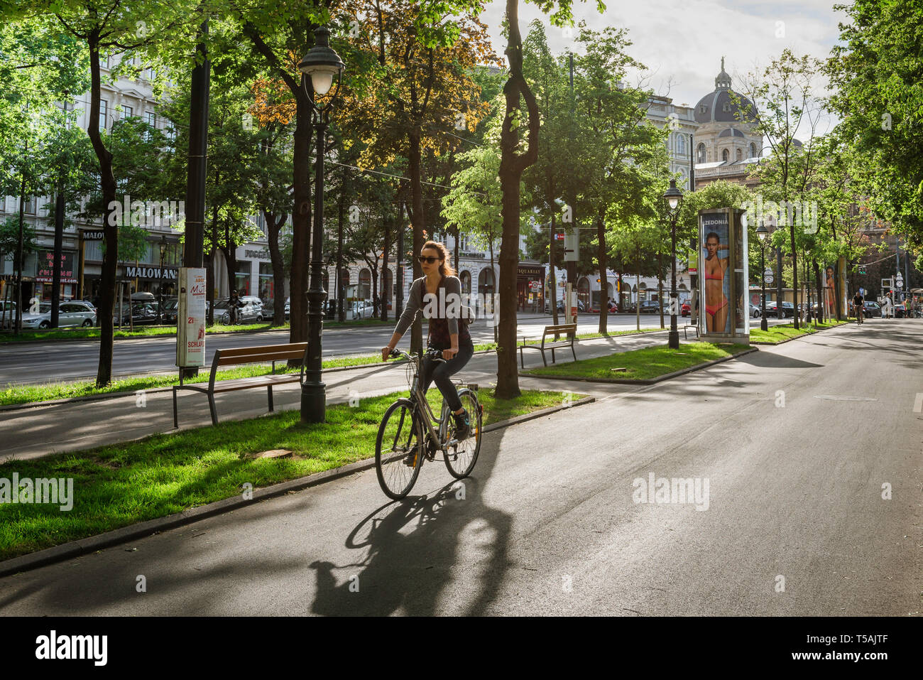 Junge Frau beim Radfahren, Blick auf eine junge Frau, die an einem Sommernachmittag auf einem Radweg neben der Wiener Ringstraße radelt, Österreich. Stockfoto