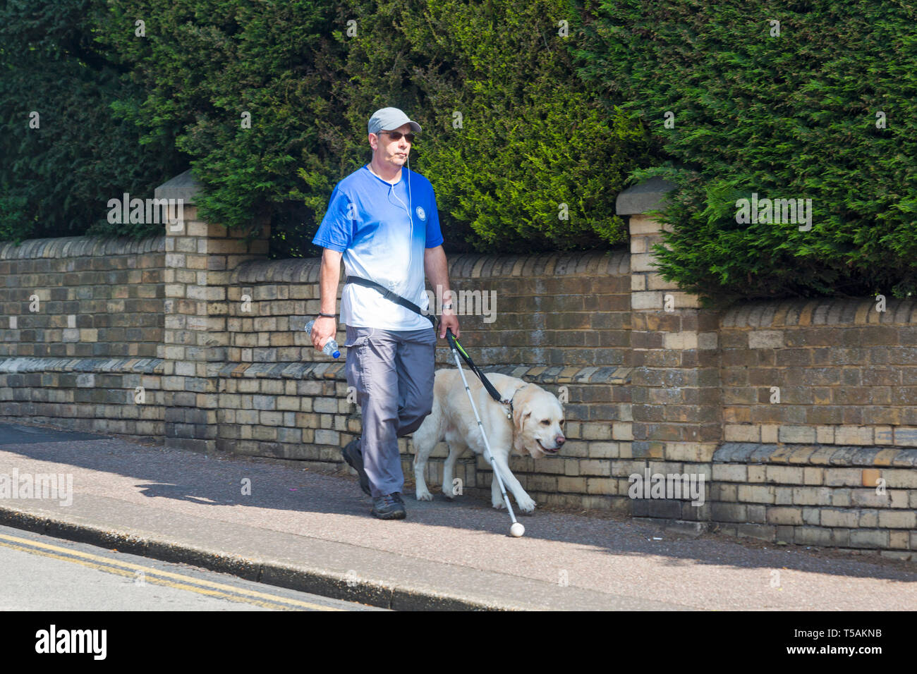 Sehbehinderte Menschen Person zu Fuß auf Pflaster mit Zuckerrohr Stick und Golden Labrador Hilfe hund Straße in Bournemouth, Dorset Großbritannien im April Stockfoto