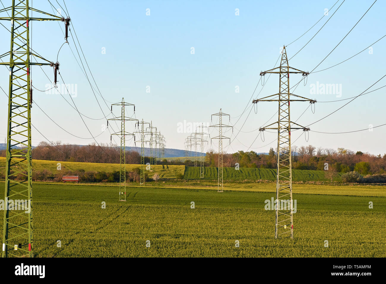 Blick auf Stromleitungen im Frühling Landschaft mit Wiese und Feld, unter strahlend blauem Himmel. Stockfoto