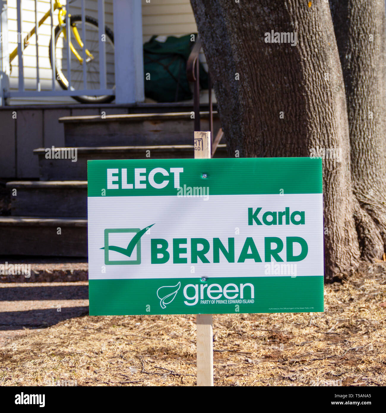 Beschilderung von Karla Bernard von der Grünen Partei von Prince Edward Island für die Landtagswahlen in Charlottetown, Prince Edward Island, Kanada Stockfoto