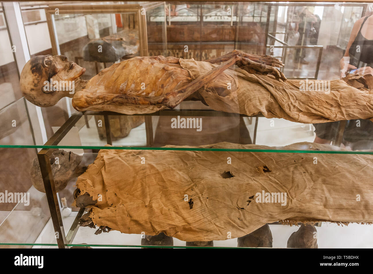 Das museum der mumien -Fotos und -Bildmaterial in hoher Auflösung ...