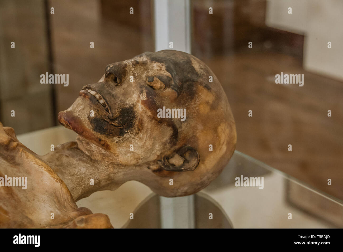 Mumien im Ägyptischen Museum von Turin Stockfoto