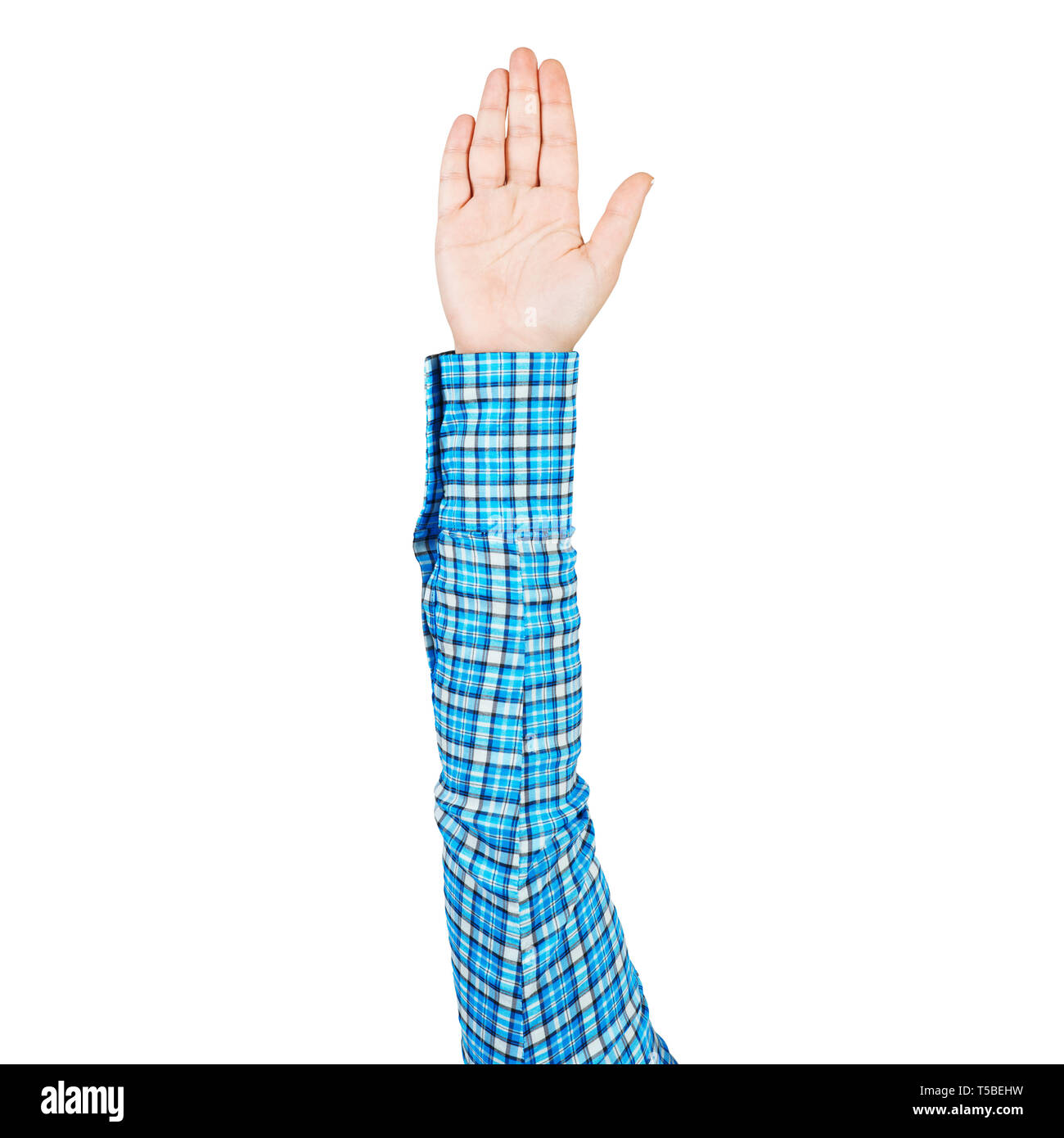 Frau Hand in blau kariertem Hemd palm angezeigt Stockfoto
