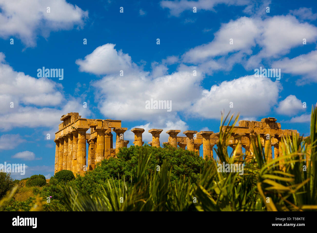 Selinunte eine antike griechische Stadt in South West Sizilien, Italien Stockfoto