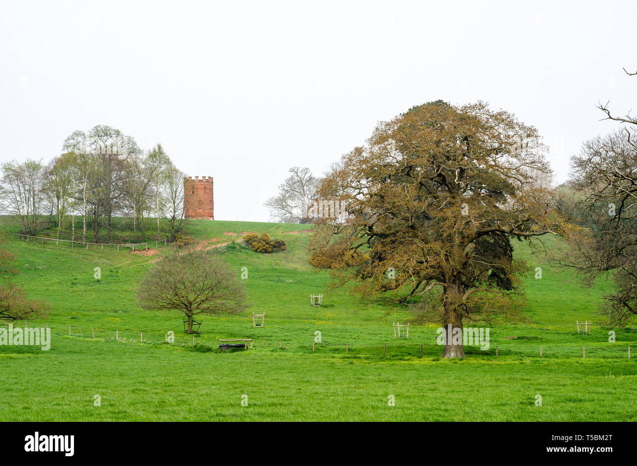 Shifnal Narrheit ist gesehen ontop einer Steigung in der Landschaft von Shropshire. Stockfoto