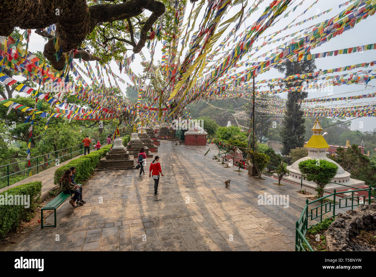 KATHMANDU, Nepal - MÄRZ 30, 2019: Wenige Besucher und Linien der Gebetsfahnen bilden konvergente Linien mit wenigen Sonnenstrahlen, Swayambhunath, Nepal Stockfoto