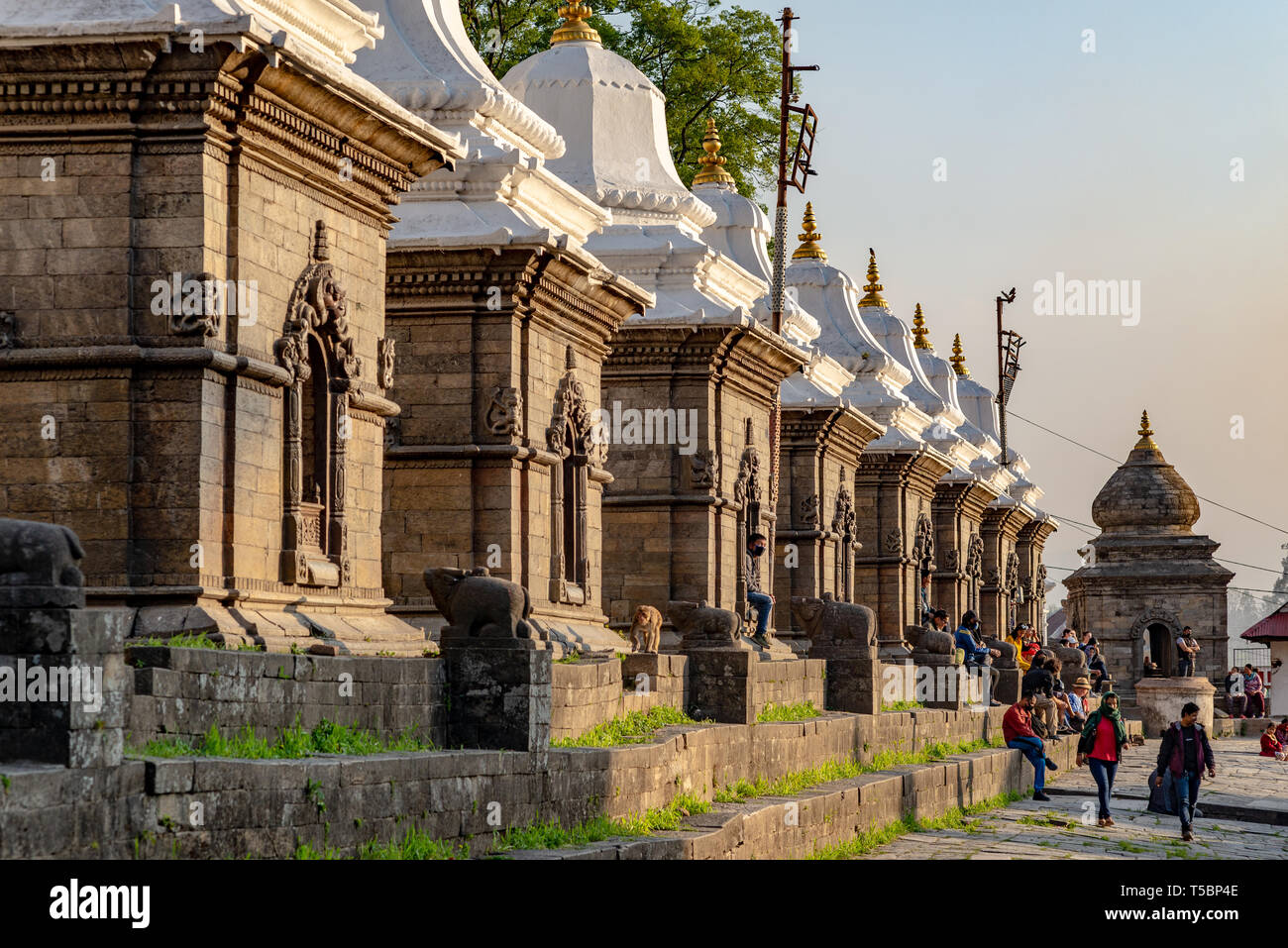 TILGANGA, Kathmandu, Nepal - April 2, 2019: Besucher und mehrere kleine Tempel schutz Shiva Lingams Stockfoto