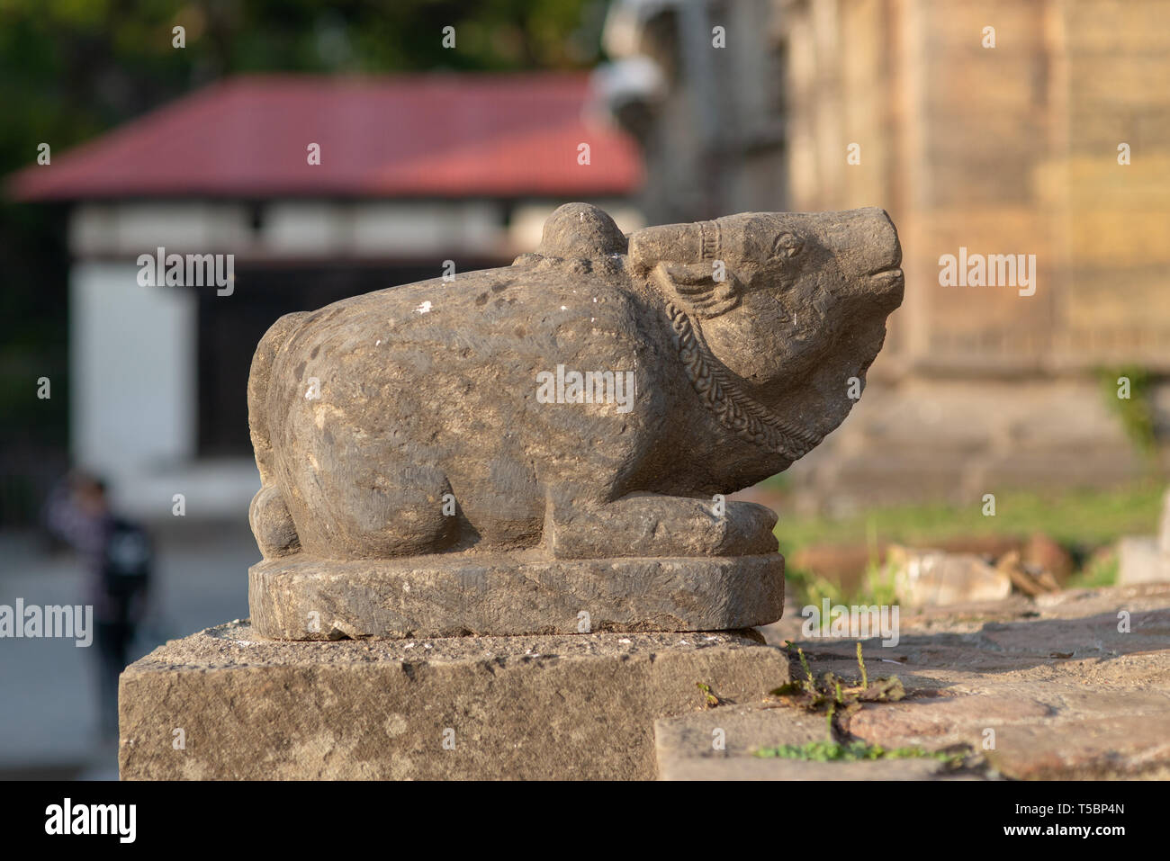 Eine der zahlreichen Skulptur (die eine rituelle Bull) verzieren den kleinen Tempeln schutz Shiva Lingam am Pashupatinath Tempel Komplex Stockfoto