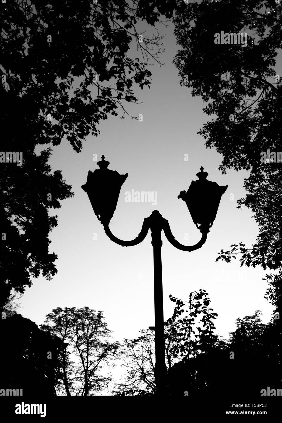 Alten stil Lamp Post aus dem 19. Jahrhundert im City Park. Schwarze und weiße Edition Stockfoto