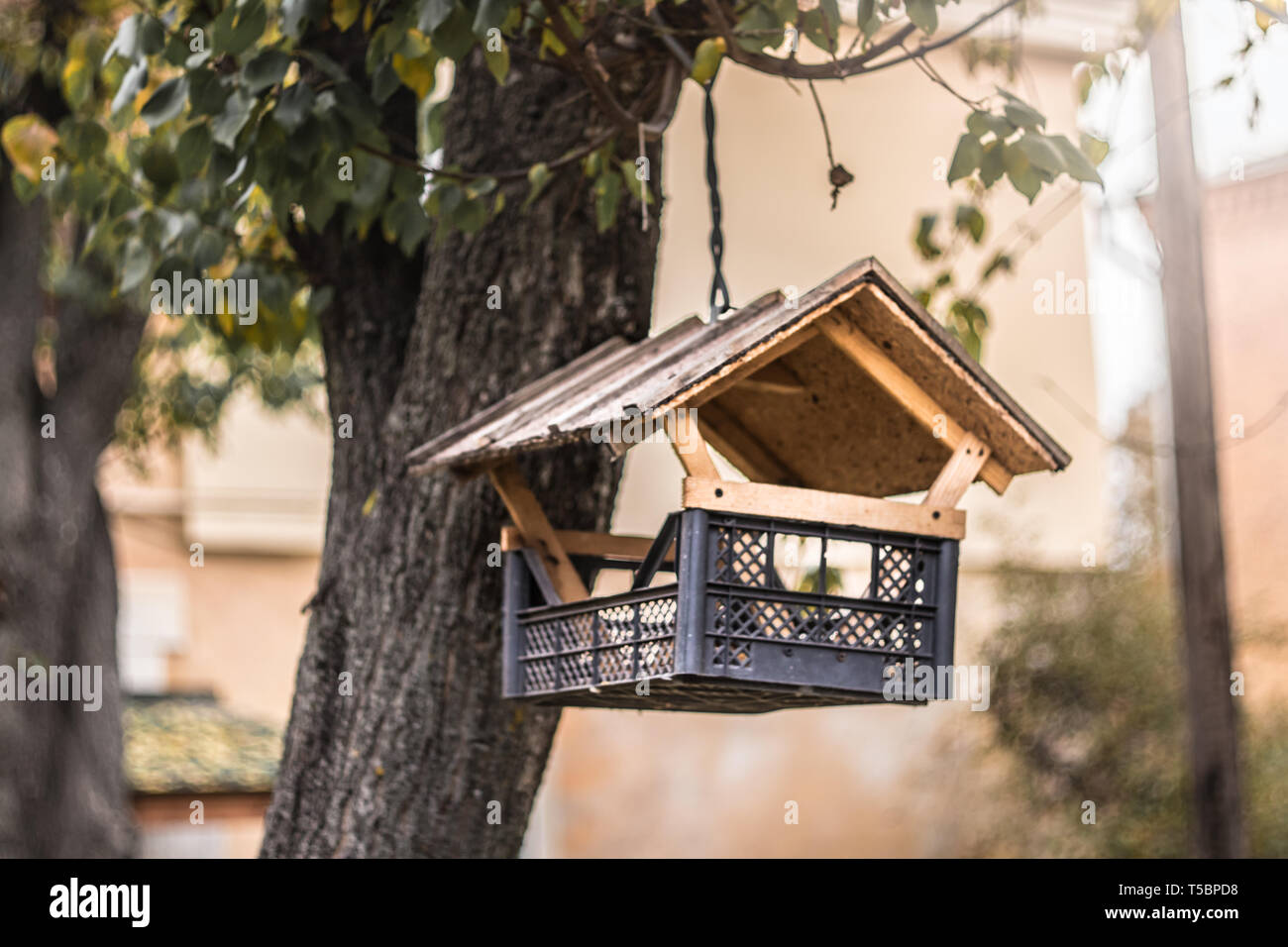 Handgefertigte Bird Feeder auf Ast hing Stockfoto