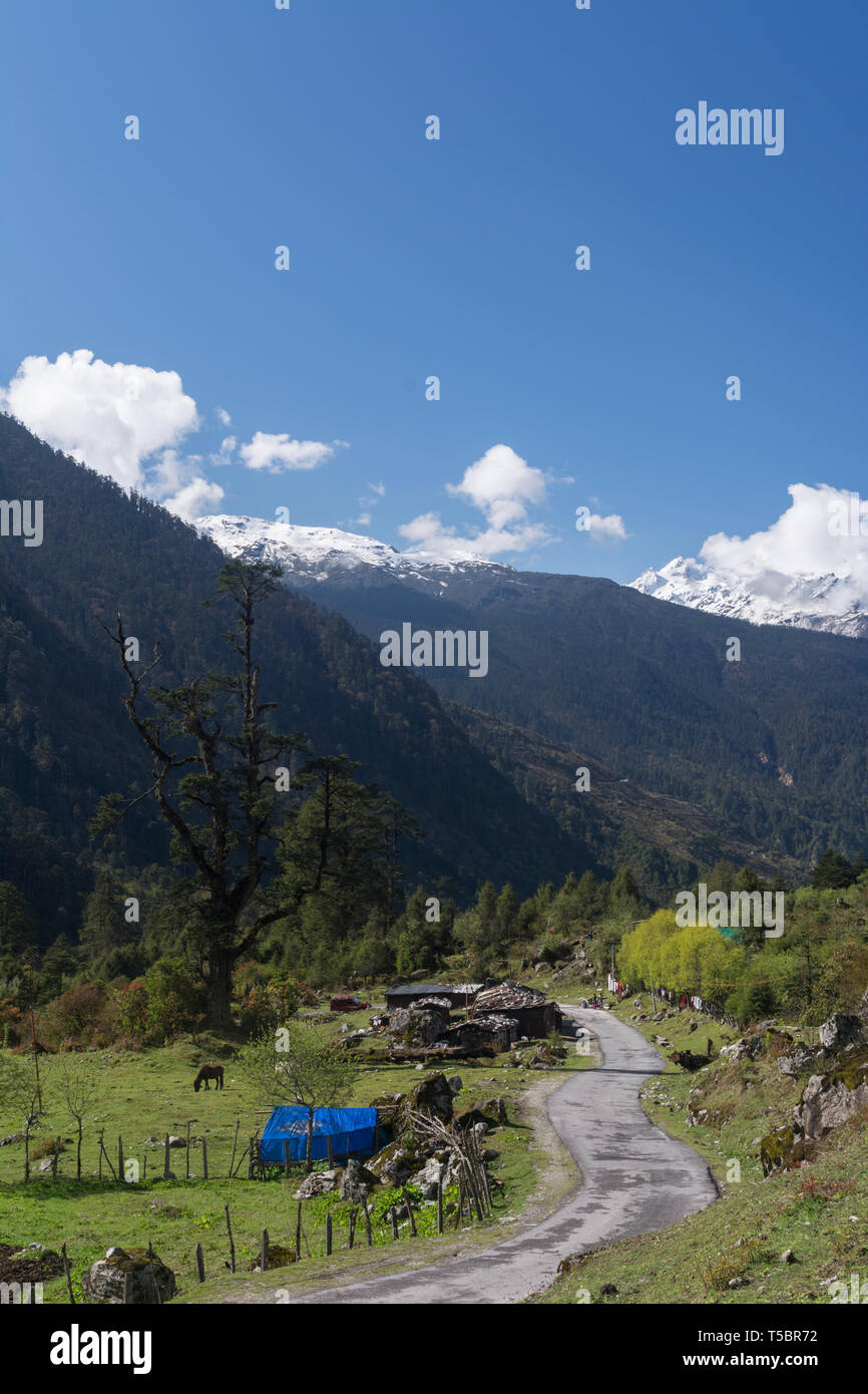 Weg nach Lachung Dorf in der Nähe von Yumthang Tal, Sikkim, Indien Stockfoto