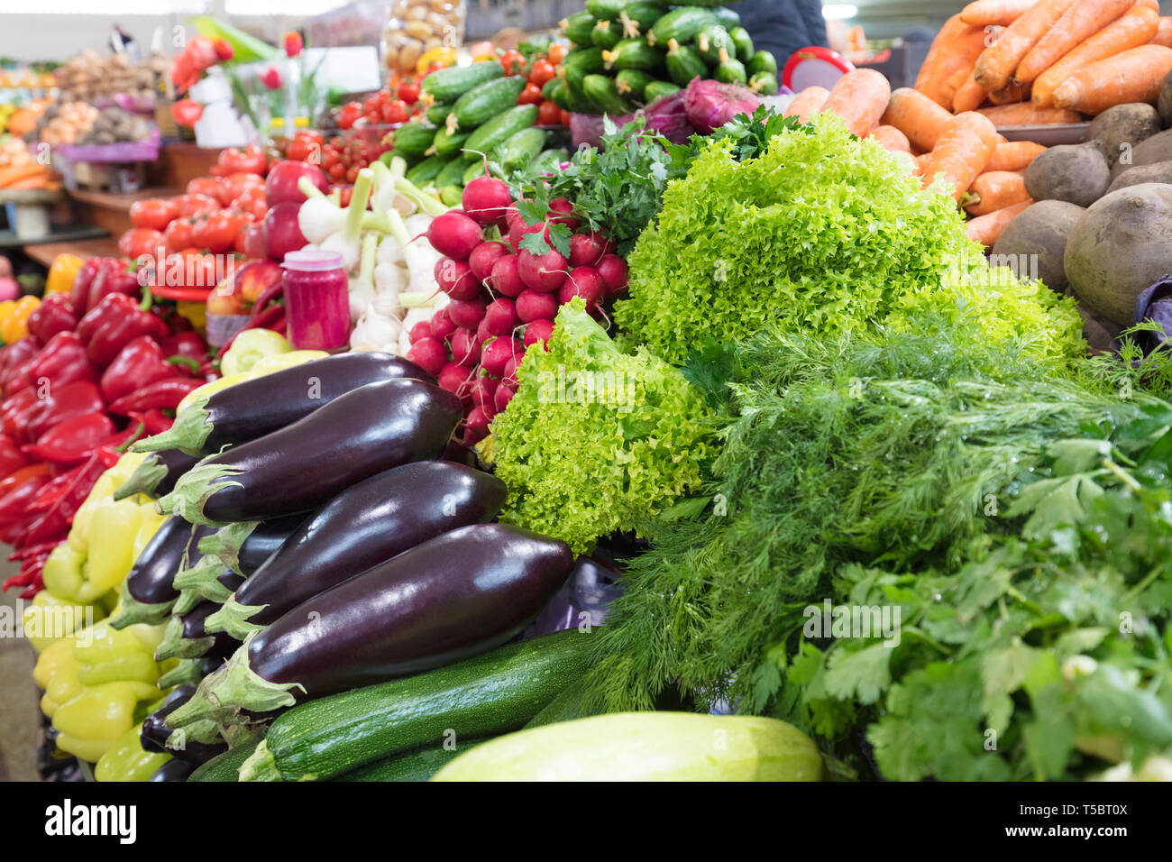 Saftig grünen Salat, Dill, Petersilie und Auberginen, Radieschen, Rüben, Karotten und anderes Gemüse für den Verkauf auf dem Markt Stockfoto