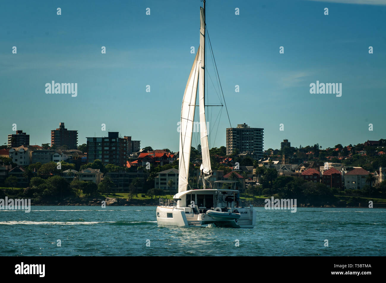 Segeln auf dem Hafen Stockfoto