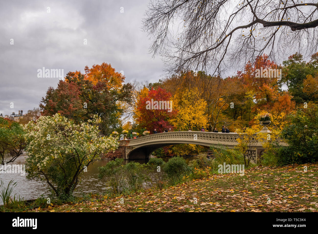Bow Bridge, Central Park, im Herbst Stockfoto