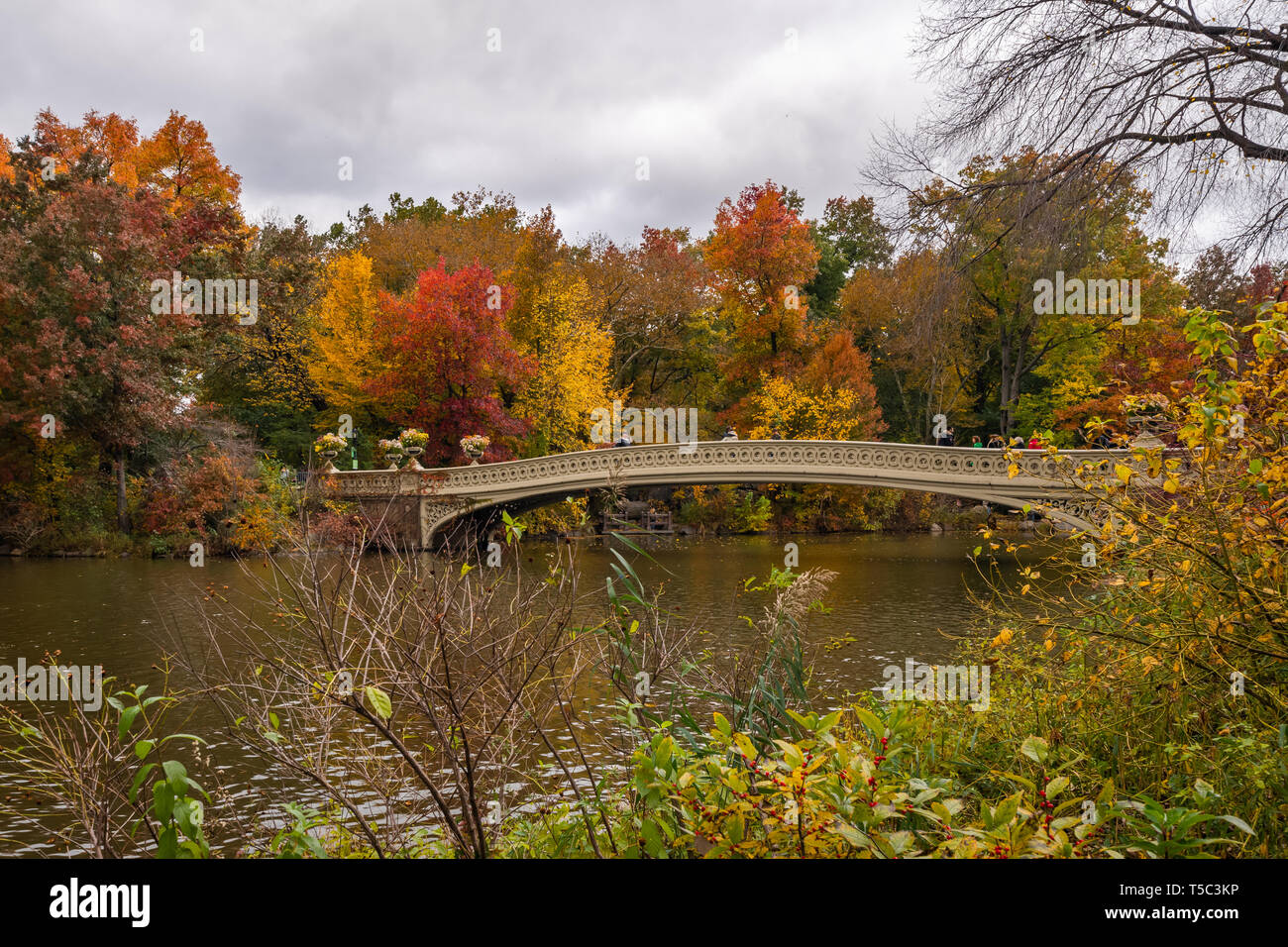 Bow Bridge, Central Park, im Herbst Stockfoto