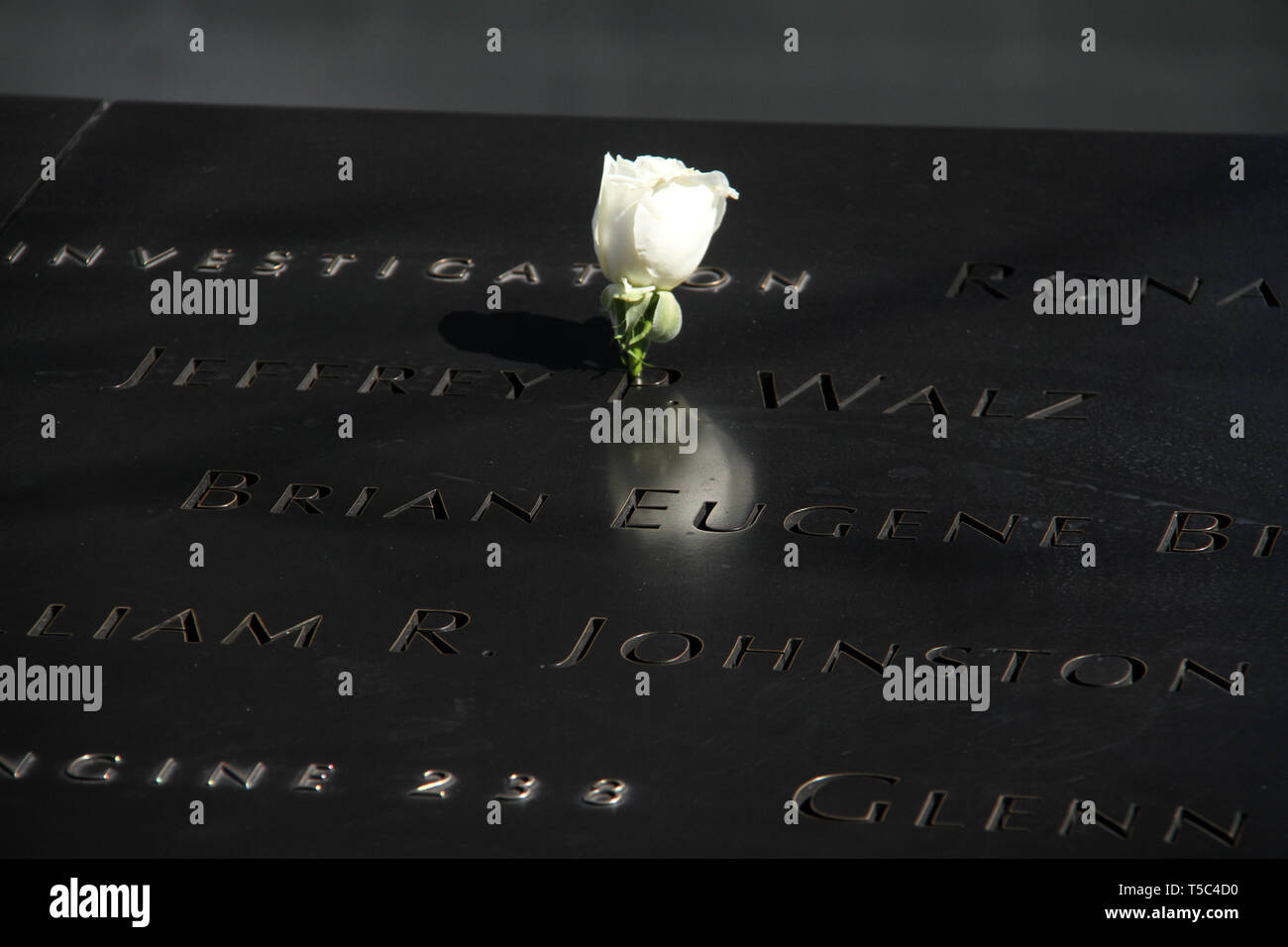 Weiße Rose und die Namen der Opfer des 9/11/2001 Angriff auf die Twin Towers. Die nationalen September 11 Memorial in Manhattan, New York City, USA. Stockfoto