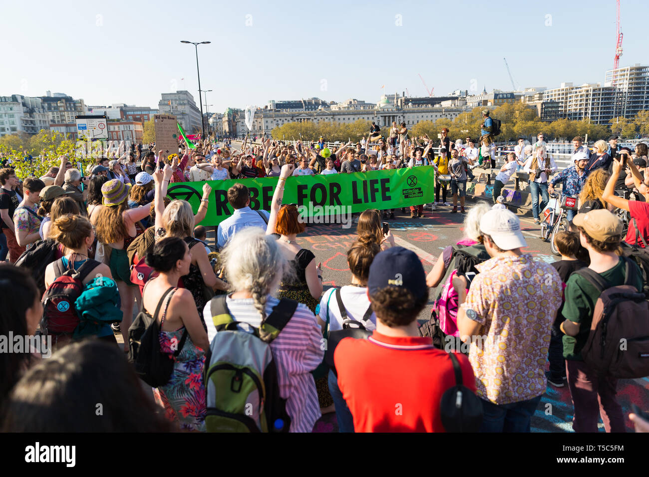 Aussterben Rebellion die Demonstranten auf der Waterloo Bridge, London Stockfoto