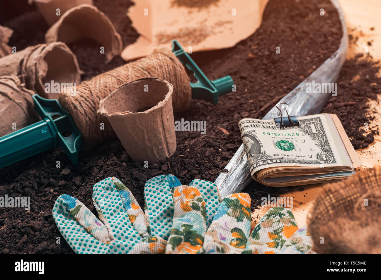 Geld verdienen im ökologischen Landbau, im Garten arbeitende Werkzeuge und Geräte mit Stack des amerikanischen Dollar Stockfoto