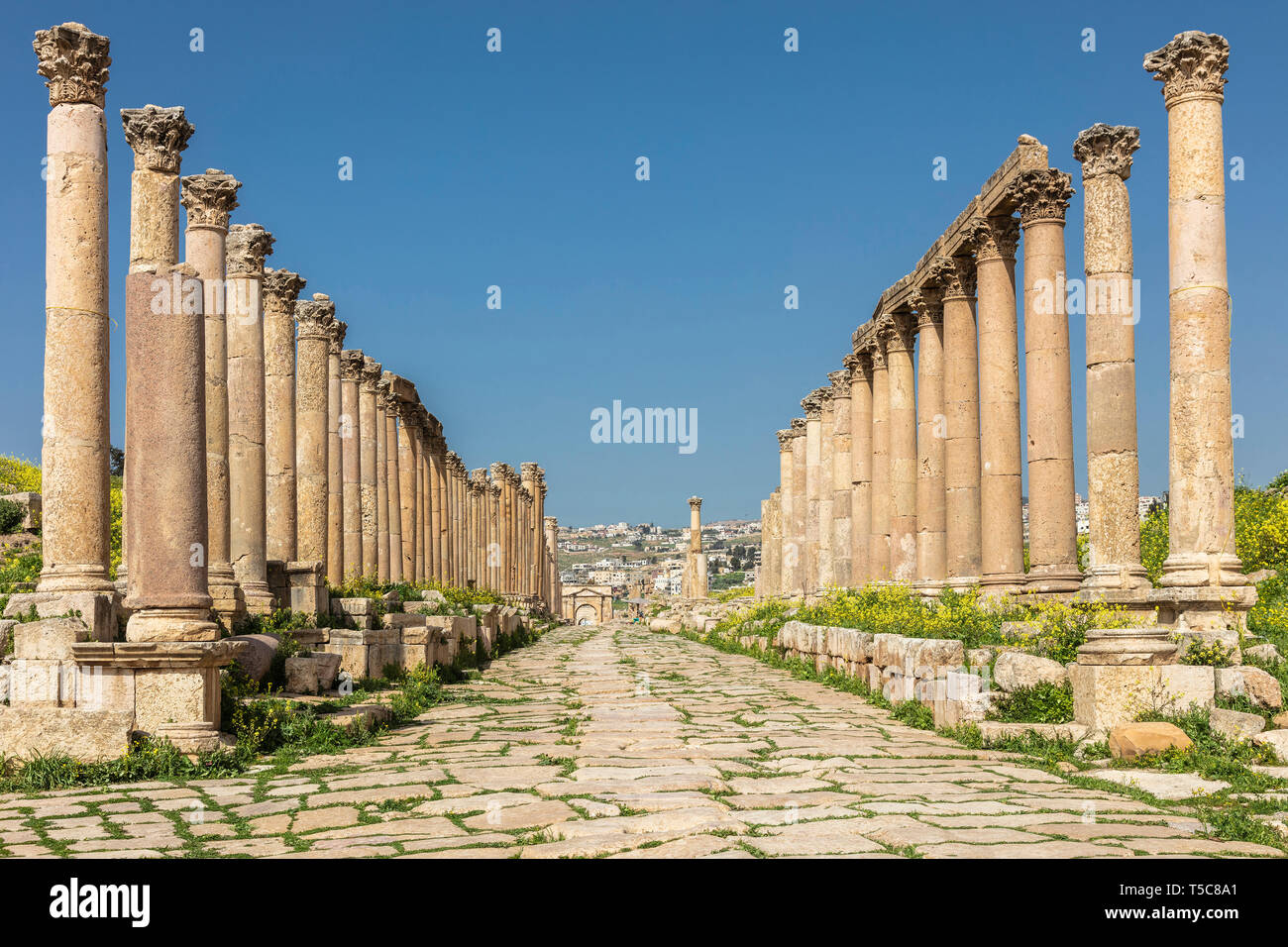 Amman, Jordanien. Detail von Römischen Säulen im Inneren der Zitadelle, bekannte archäologische Stätte des Tourismus Ziel. Stockfoto