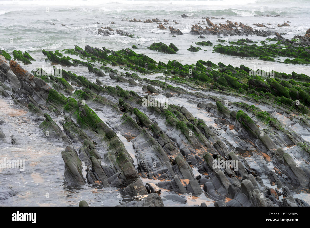 Atlantik-Küste Portugal Stockfoto