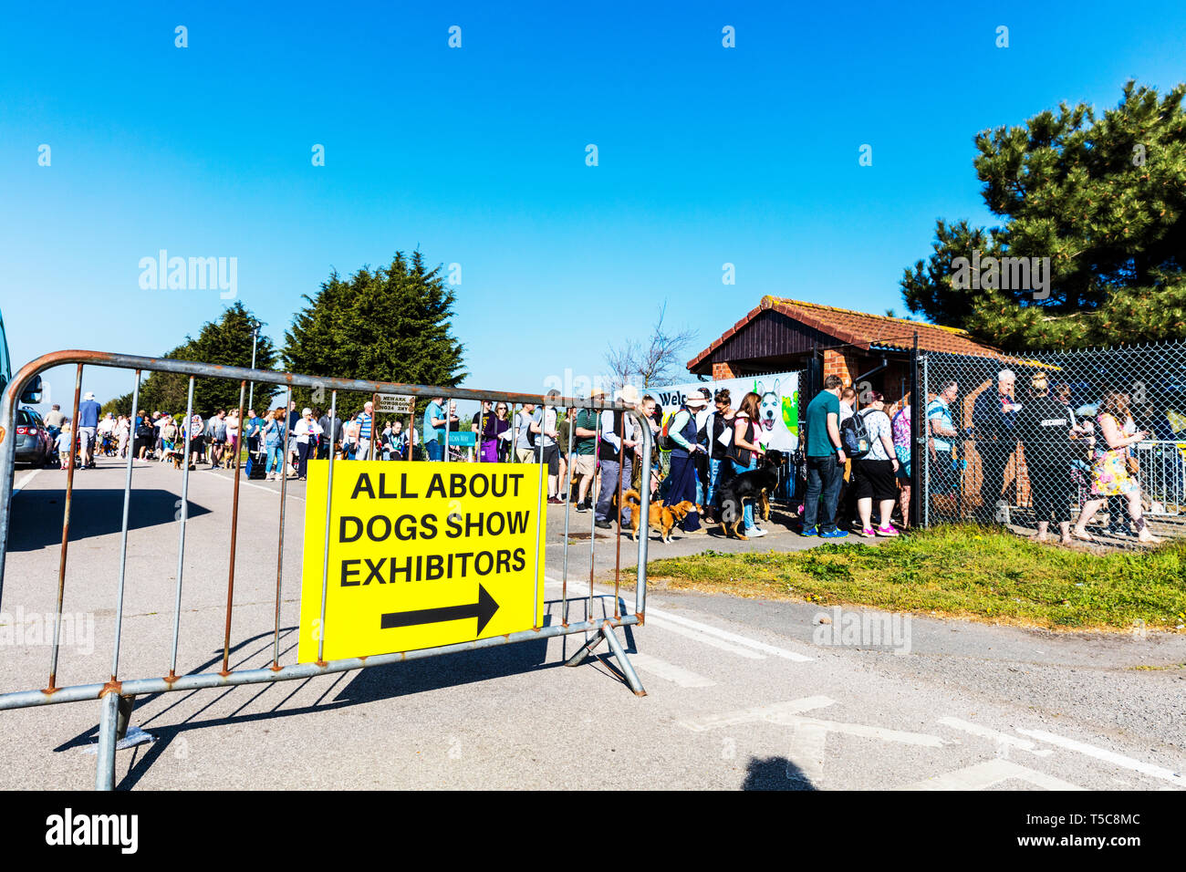 Alles über Hunde zeigen in Newark Showground Nottinghamshire UK, Alles über Hunde, Menschen, Queue, lange Schlange, Hund, Hund zeigt, Warteschlangen, Stockfoto