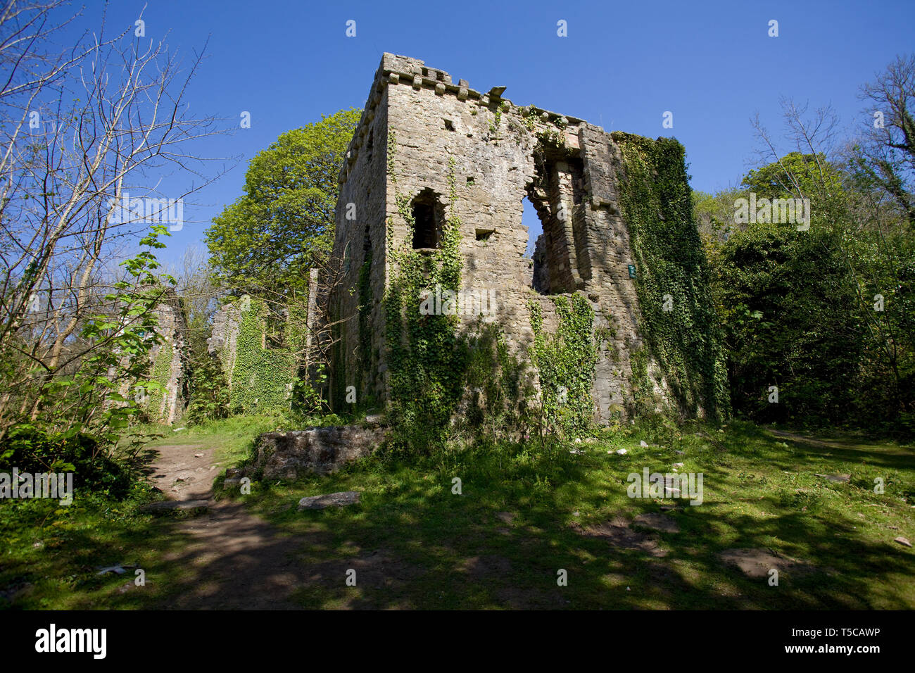 Candleston Castle, Merthyr Mawr, Wales Stockfoto