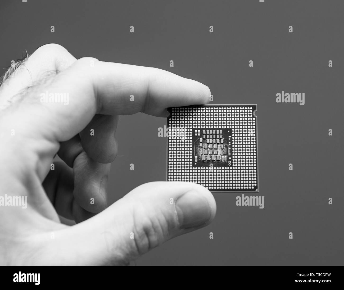 Männliche IT-Profi an der Hand Verbrannt leistungsfähige CPU Central Processing Unit mit Hohe Kernanzahl und erhöhte Frequenz - Isolierte schwarze und weiße Foto Stockfoto