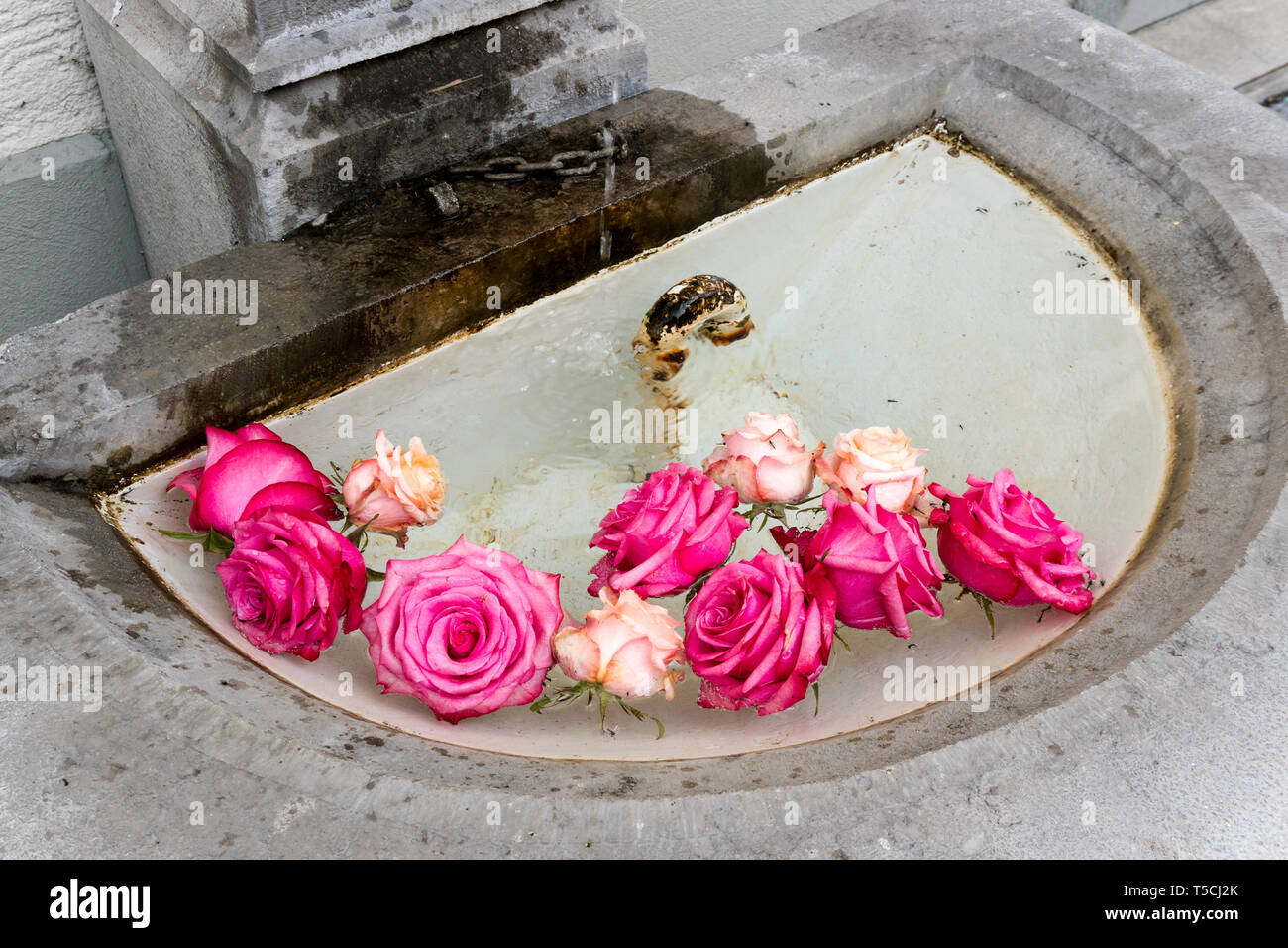 Blumenschmuck aus Rosen im Becken eines alten Steinbrunnen Stockfoto